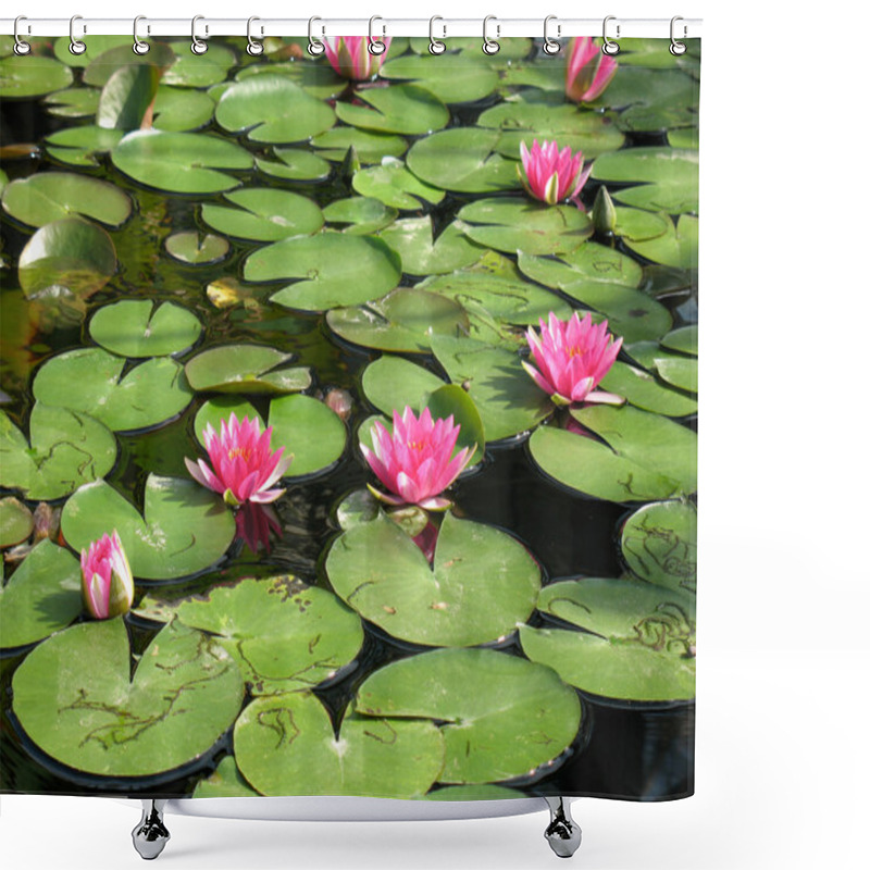 Personality  Water Lilies Shower Curtains