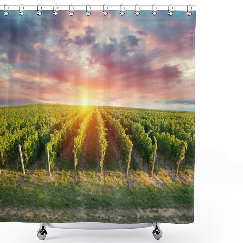 Personality  Extra Wide Panoramic Shot Of A Summer Vineyard Shot At Sunset. High Quality Photo Shower Curtains