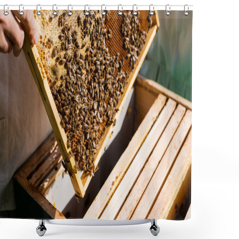 Personality  Cropped View Of Apiculturist Holding Honeycomb Frame Near Beehive In Apiary Shower Curtains