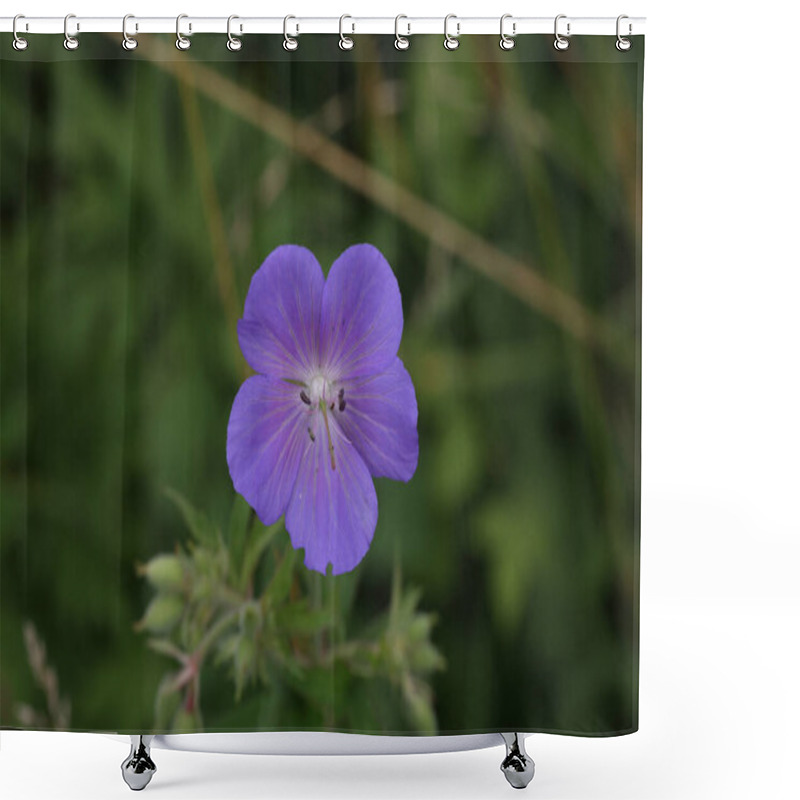 Personality  A Closeup Shot Of The Delicate Blue Flowers Of The Meadow Geranium Shower Curtains