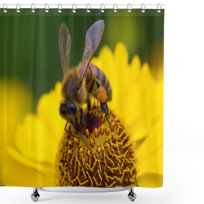 Personality  Small Bee Collecting Nectar On Yellow Flower Shower Curtains