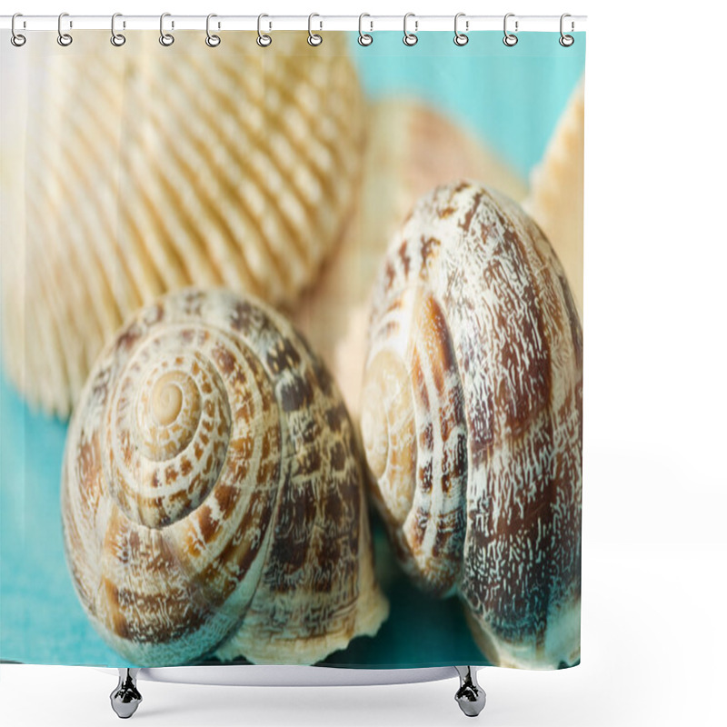 Personality  Seashells On A Blue Background Shower Curtains