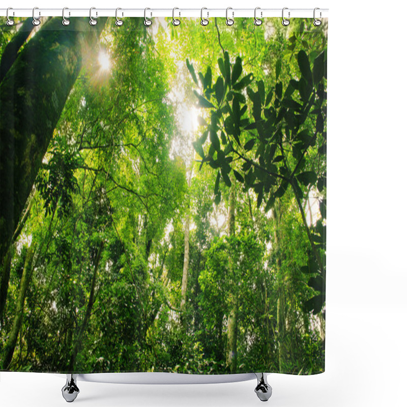 Personality  Brazilian Rainforest Shower Curtains