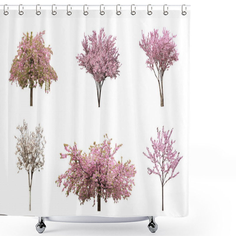 Personality  Beautiful Blossoming Sakura Trees On White Background, Collage  Shower Curtains