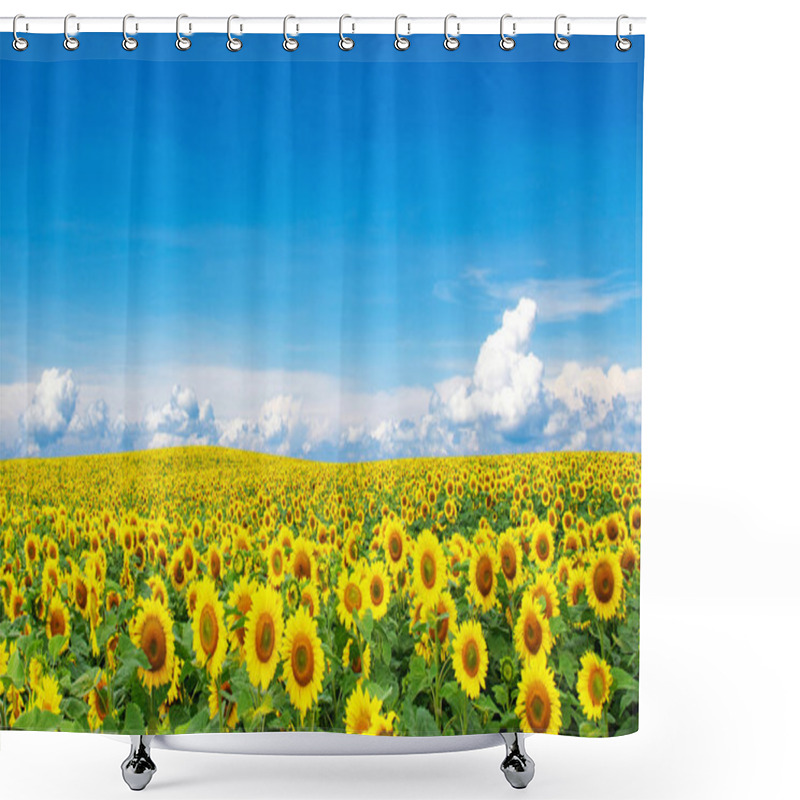 Personality  Blooming Field Of Sunflowers Shower Curtains