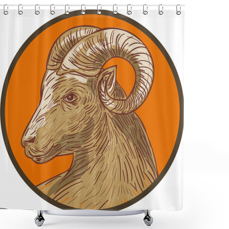 Personality  Ram Goat Head Circle Drawing Shower Curtains