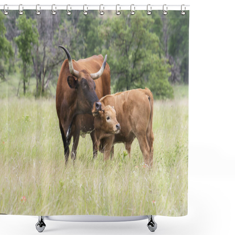 Personality  Texas Longhorn  Shower Curtains