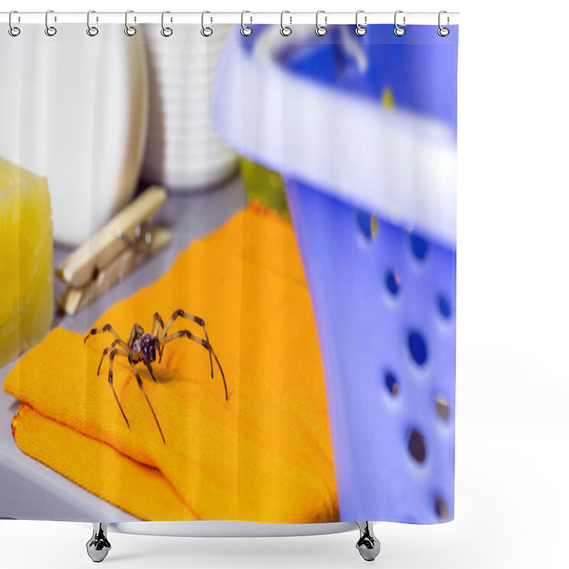 Personality  Large Spider Hidden Among Laundry Objects, Pest Problem Concept, Bite Hazard Shower Curtains