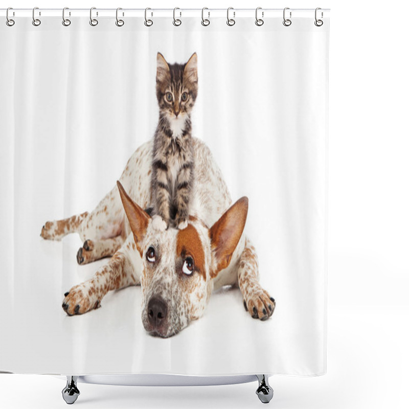 Personality  Catte Dog With Kitten On His Head Shower Curtains