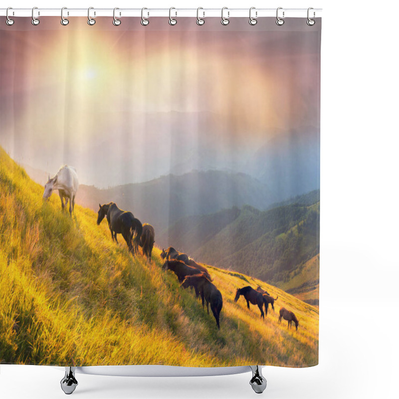 Personality  Horses On The Mountain Top Shower Curtains