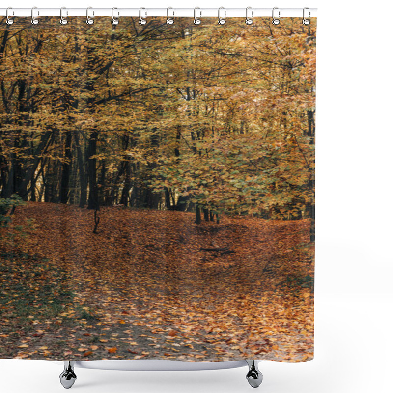 Personality  Fallen Yellow Leaves In Autumn Park Shower Curtains