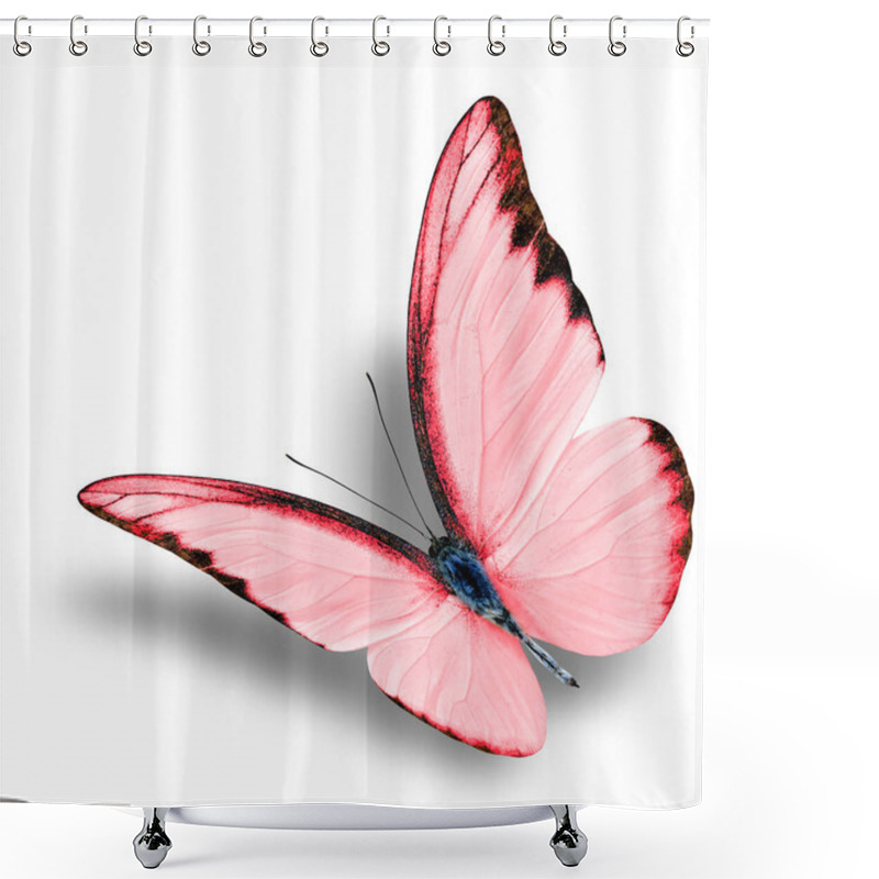 Personality  The Beautiful Flying Red Butterfly On White Background With Soft Shadow (Chocolate Albatross In Exotic Fancy Color Profile) Shower Curtains