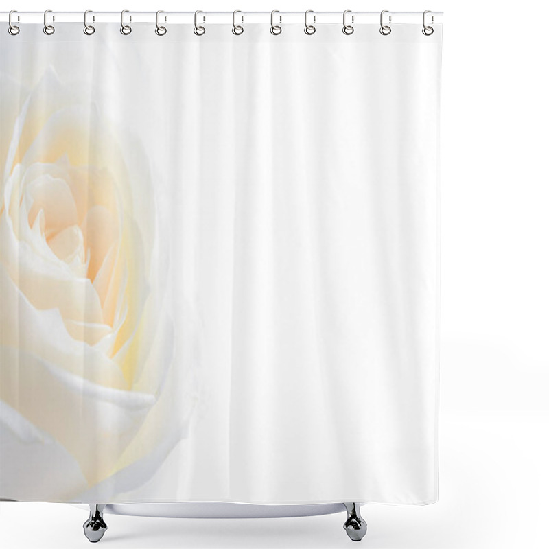 Personality  Rose Flowers Close Up On Background . Shower Curtains