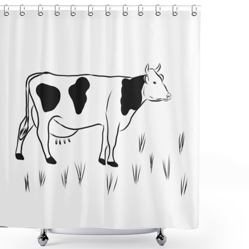 Personality  Black And White Cow Grazing In The Meadow Illustration. Shower Curtains