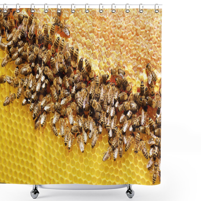 Personality  Hardworking Bees On Honeycomb Shower Curtains