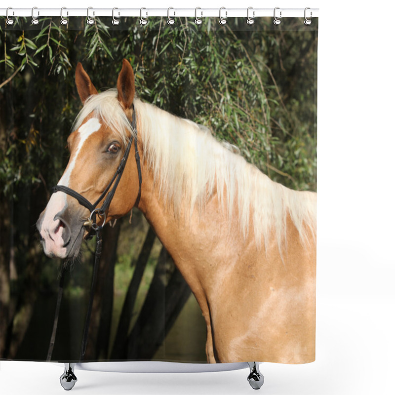 Personality  Beautiful Amazing Palomino Warmblood With Blond Hair Shower Curtains