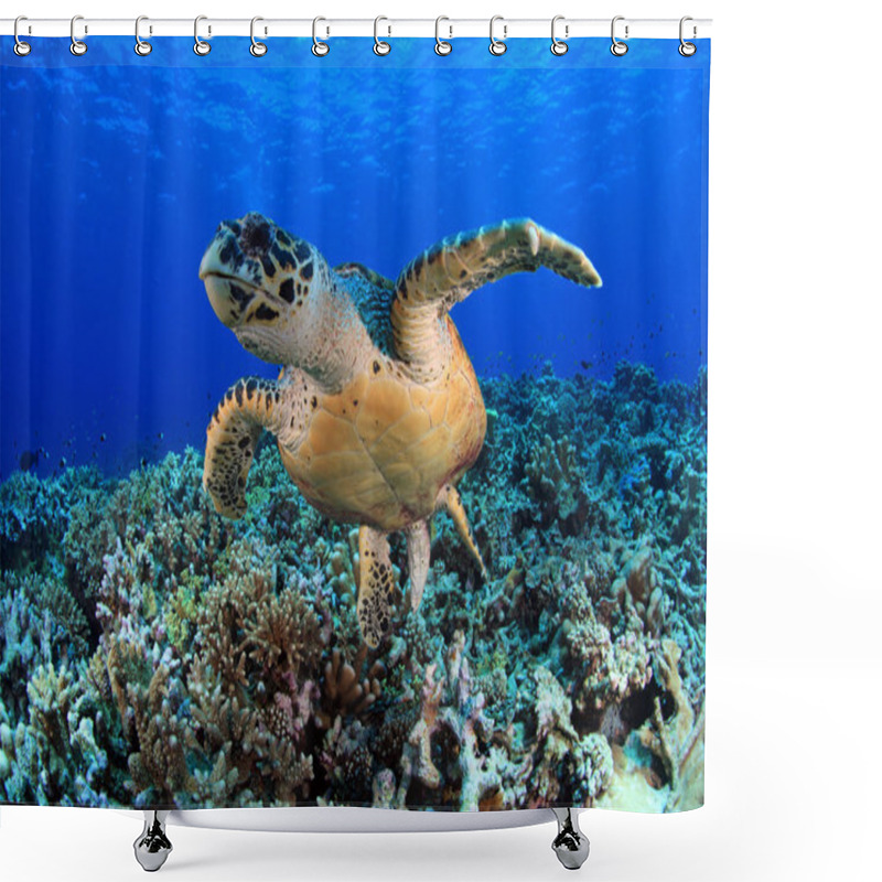 Personality  Sea Turtle Shower Curtains