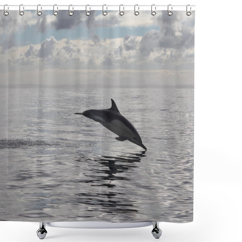 Personality   Dolphin Jumping Out Of Water. Nature Shower Curtains