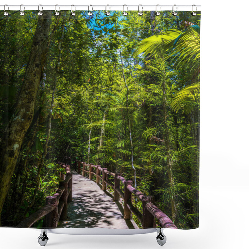 Personality  Emerald Pool, Yosemite National Park, Krabi, Thailand, Wooden Path Trough Jungle Forest Shower Curtains