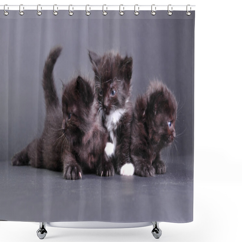 Personality  Group Of Black Kittens On Dark Backround Shower Curtains