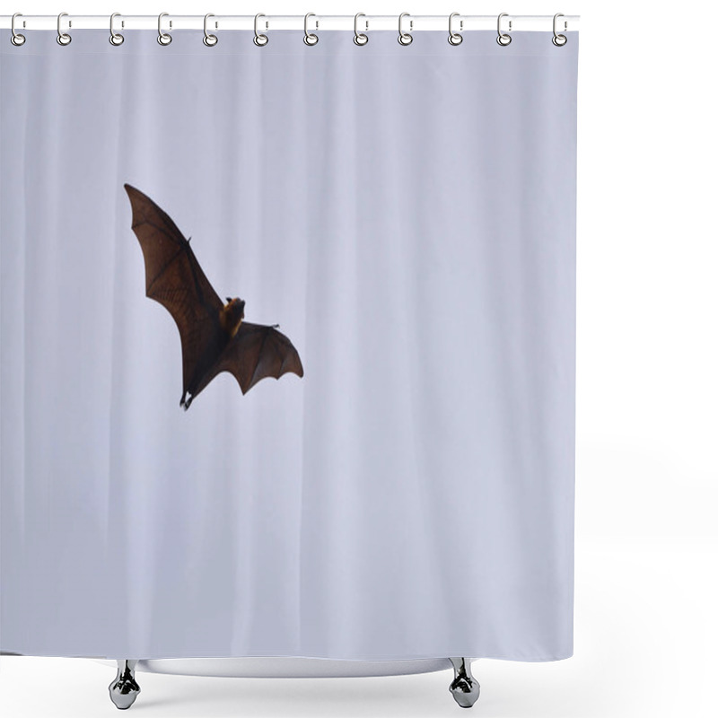 Personality  Bats Flying In Sky Background Shower Curtains