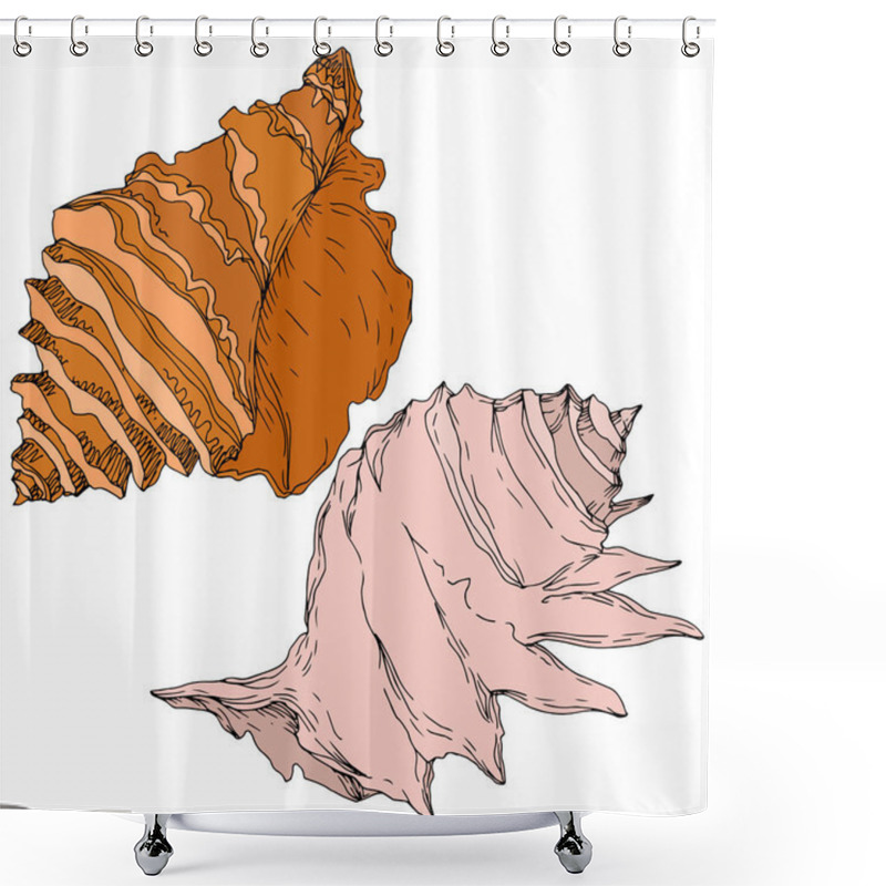 Personality  Summer Beach Seashell Tropical Elements. Black And White Engraved Ink Art. Isolated Shells Illustration Element. Shower Curtains