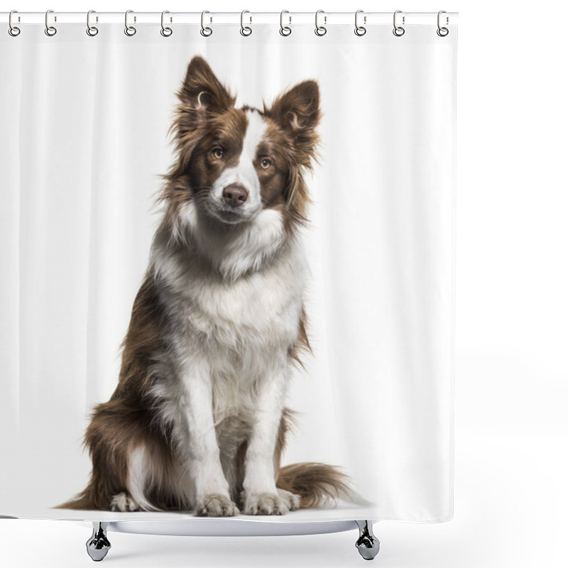 Personality  Border Collie, 1 Year Old, Sitting Against White Background Shower Curtains