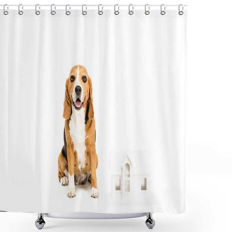 Personality  Dog With House Model  Shower Curtains