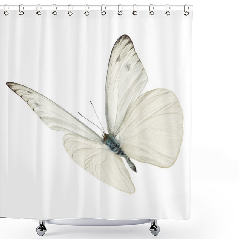 Personality  White Butterfy Flying Shower Curtains