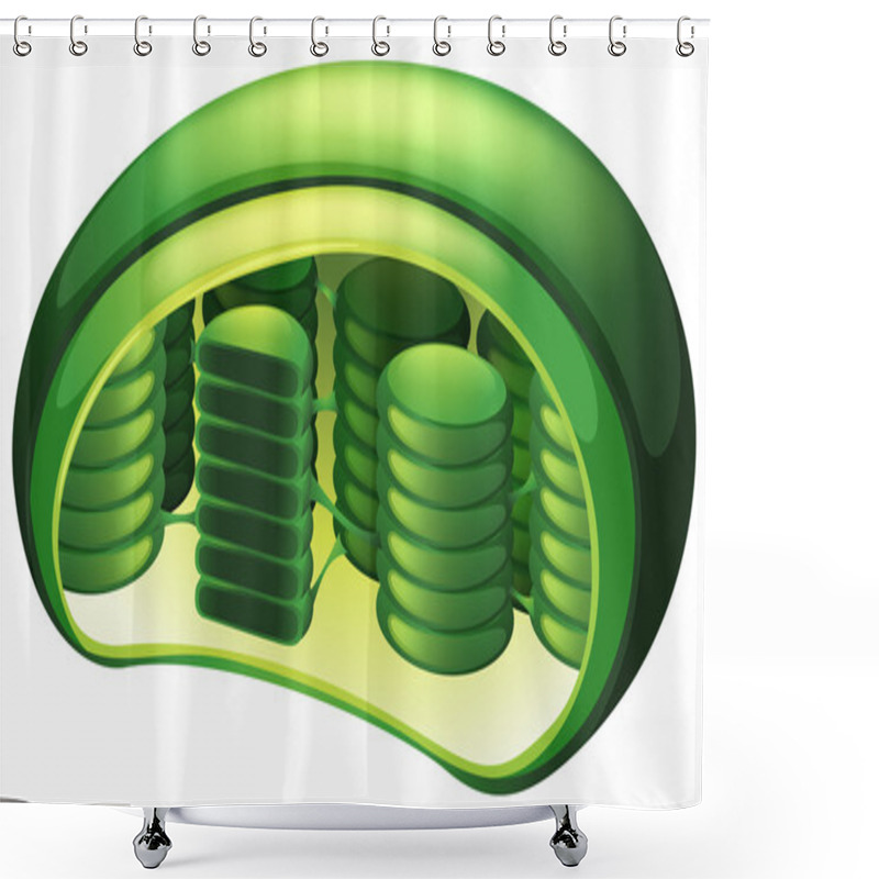 Personality  Chloroplast Shower Curtains