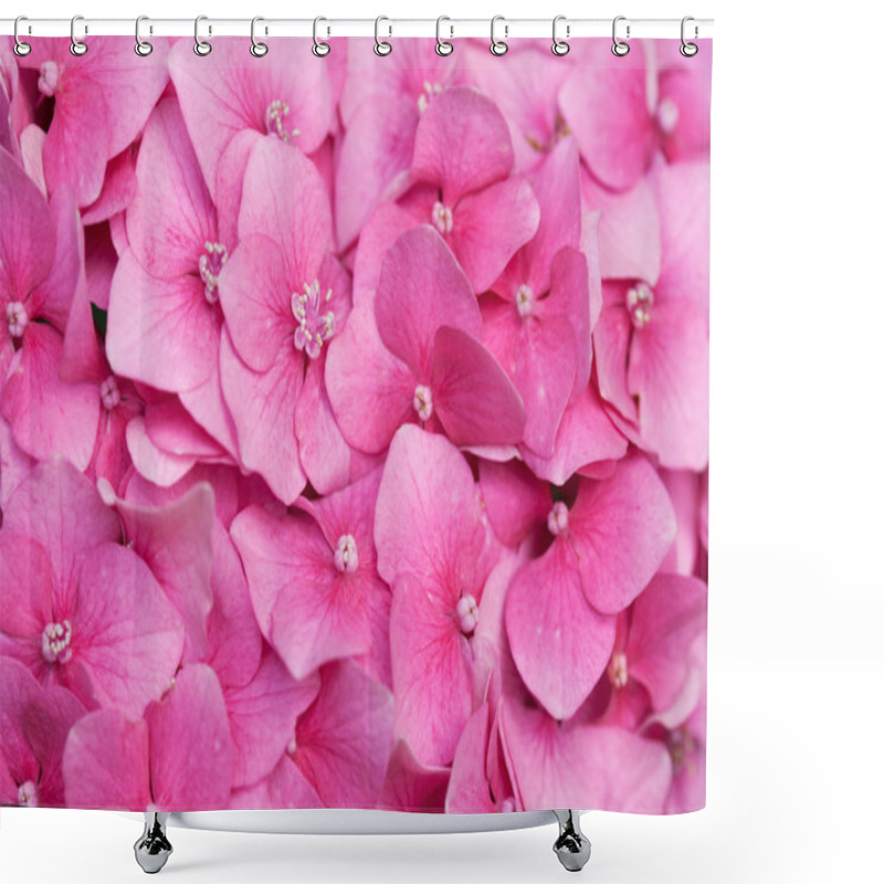 Personality  Pink Hydrangea Close Up Shower Curtains