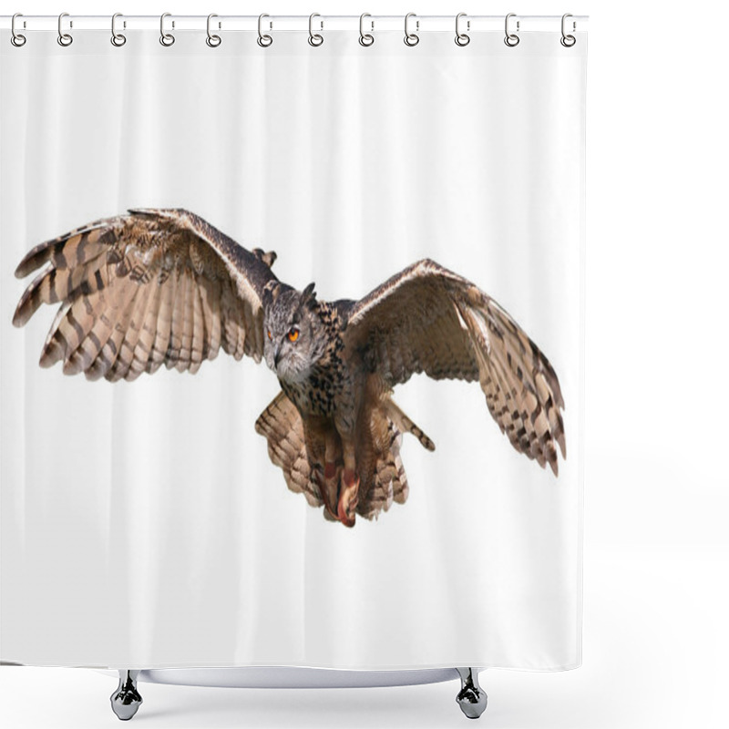 Personality  Flying Owl Shower Curtains