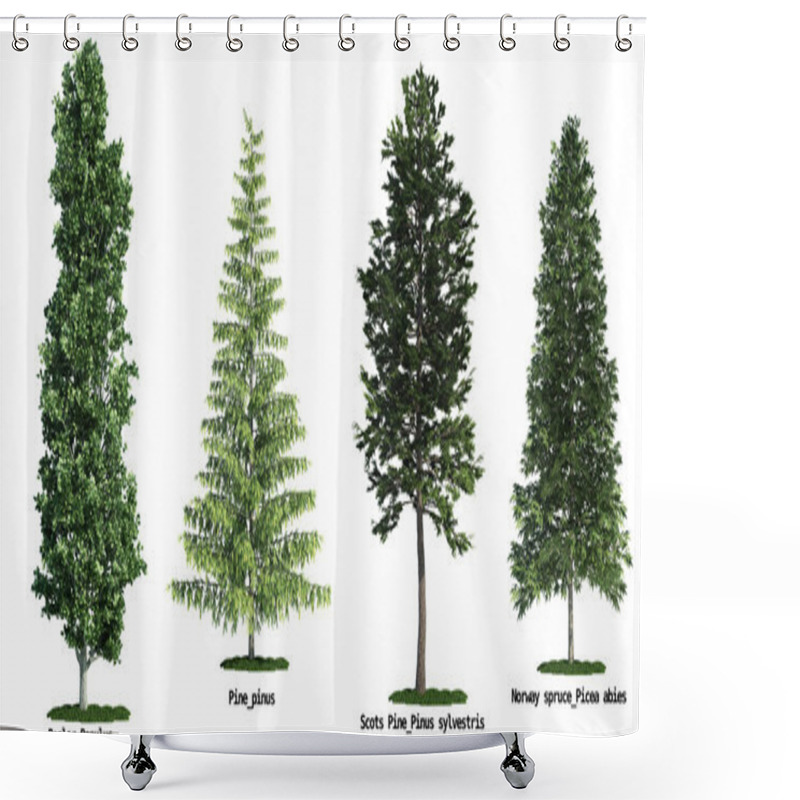 Personality  Set Of Four Trees Isolated Against Pure White Shower Curtains