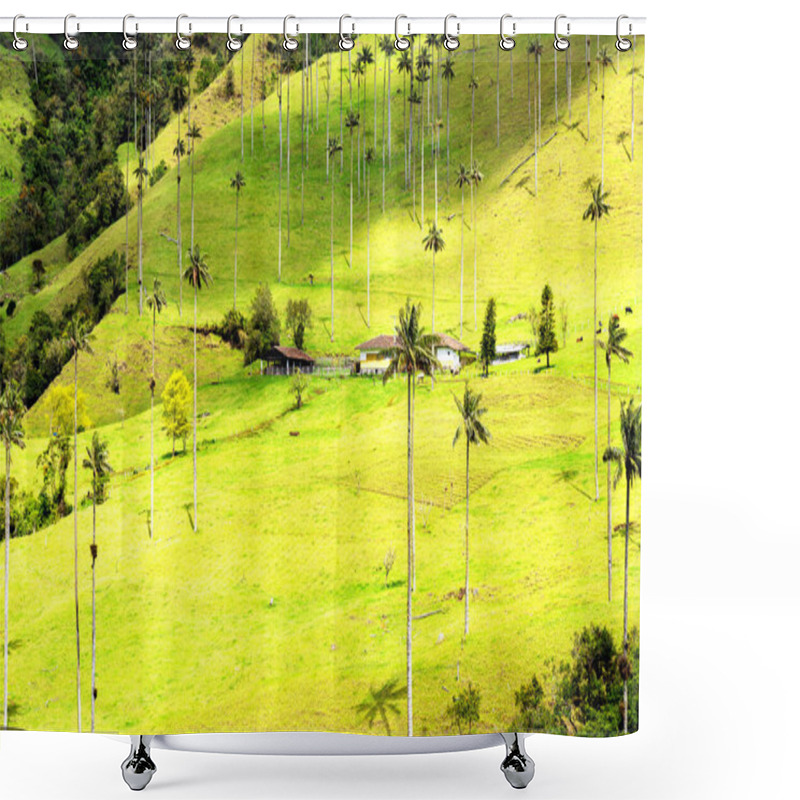 Personality  Landscape Of Wax Palm Trees (Ceroxylon Quindiuense) In Cocora Valley Or Valle De Cocora In Colombia Near Salento Town, South America Shower Curtains