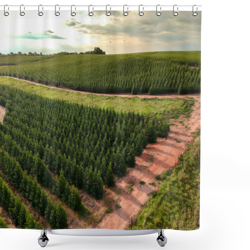 Personality  Aerial View Of A Young Eucalyptus Plantation In Brazil Shower Curtains