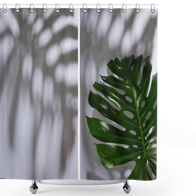 Personality  Collage Of Fresh Tropical Green Leaf On White Background With Shadow Shower Curtains