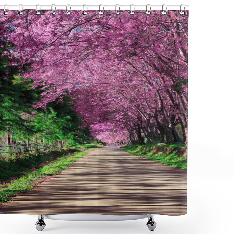 Personality  Cherry Blossom Pathway In ChiangMai, Thailand Shower Curtains