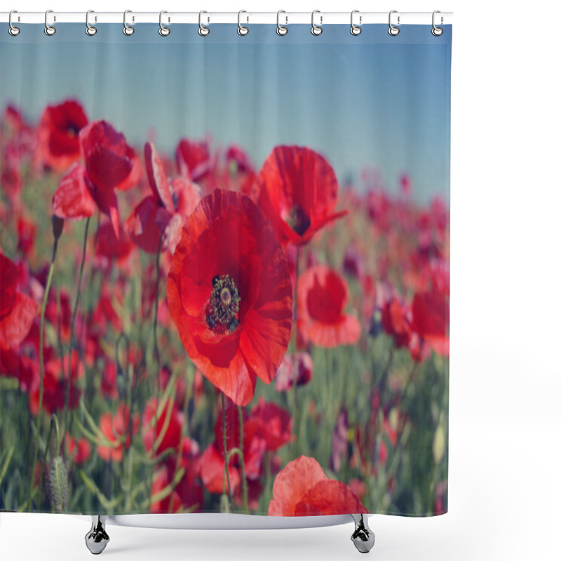 Personality  Red Poppy Flowers  Shower Curtains