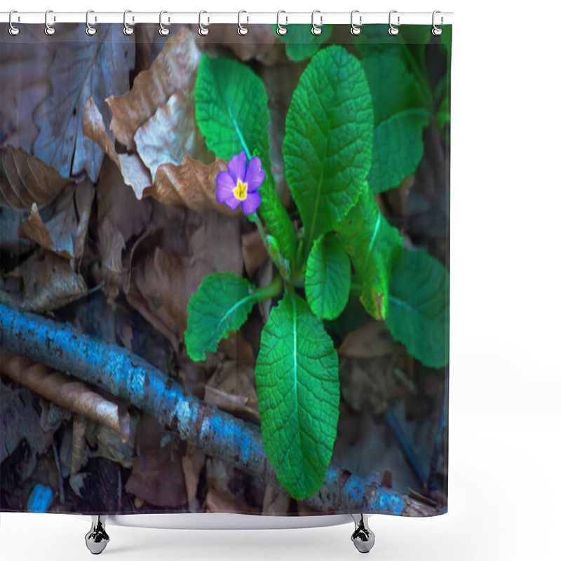 Personality  Discover The Vibrant Beauty Of A Purple Flower And Its Lush Green Leaves Adorning The Forest Ground In A Serene Woodland Scene. Shower Curtains