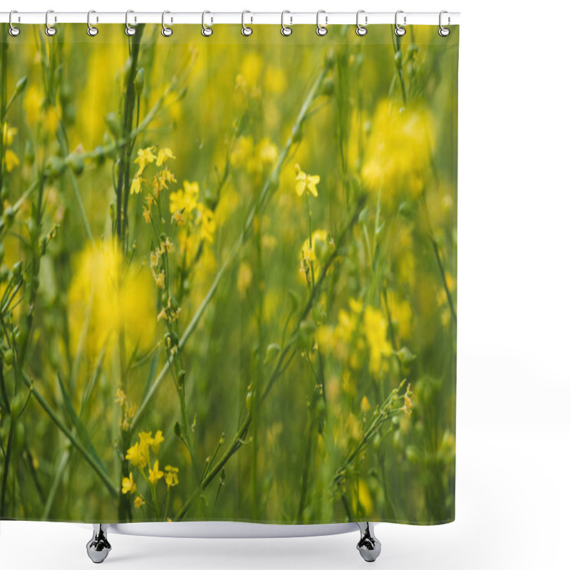 Personality  Beautiful Meadow With Blooming Yellow Flowers Shower Curtains