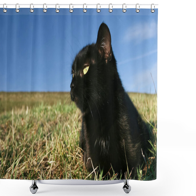 Personality  Black Cat At Sunset In The Grass Shower Curtains