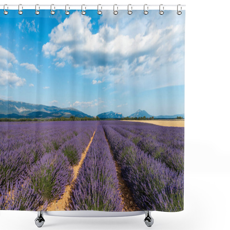 Personality  Beautiful Blooming Lavender Field And Distant Mountains In Provence, France  Shower Curtains