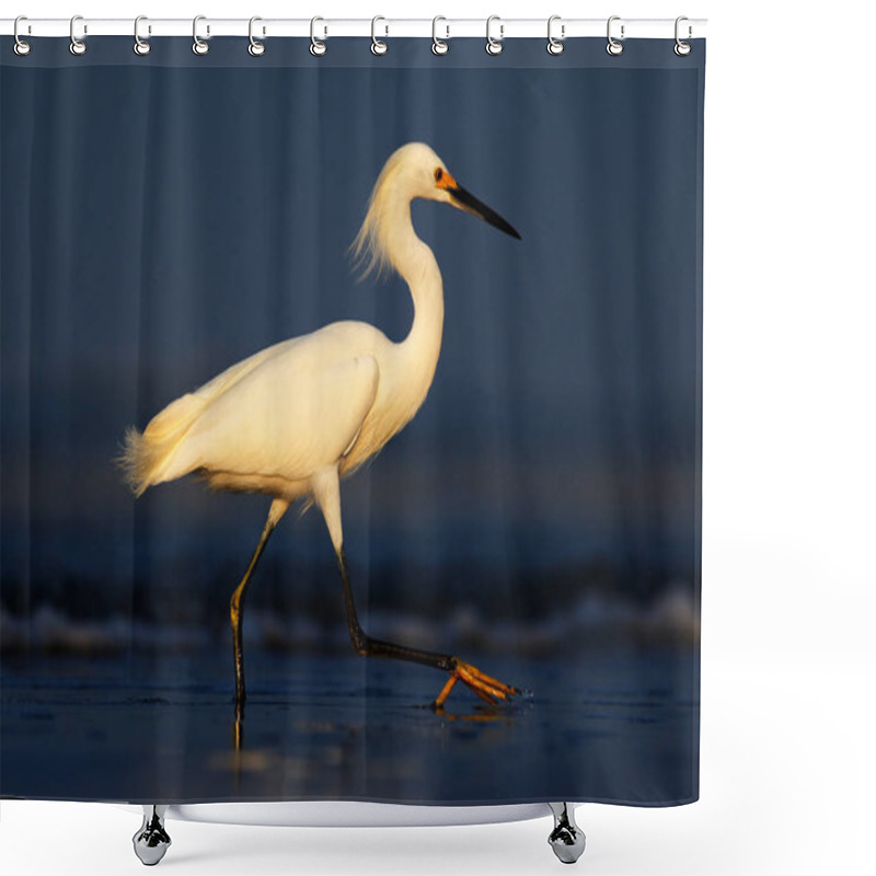 Personality  Beautiful White Heron Shower Curtains