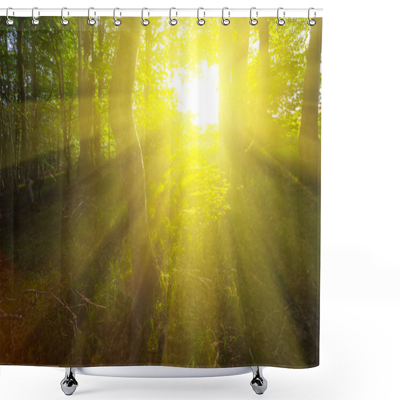 Personality  Dark Crowd Forest In A Rays Of Sparkle Sun, Good Natural Outdoor Background Shower Curtains