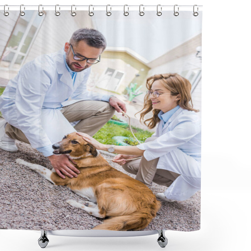 Personality  Two Smiling Veterinarians Palming Dog On Yard At Veterinary Clinic Shower Curtains