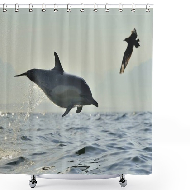 Personality  Dolphin, Swimming In The Ocean. Dolphin Swim And Jumping From The Water. The Long-beaked Common Dolphin (scientific Name: Delphinus Capensis) In Atlantic Ocean. Shower Curtains