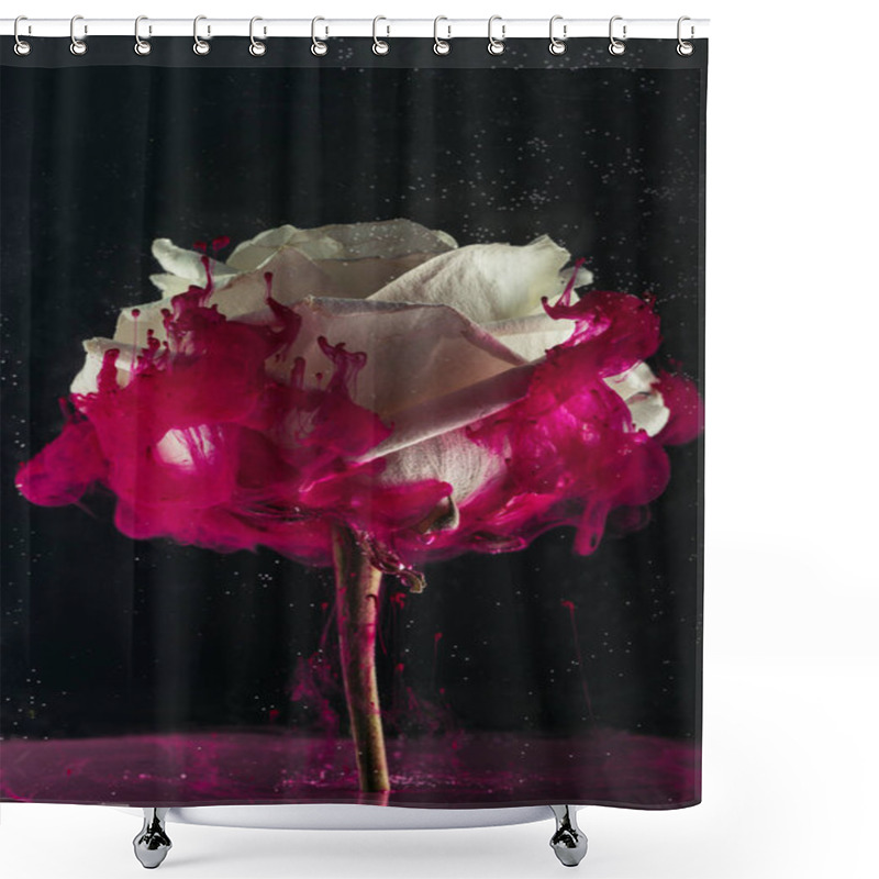 Personality  Beautiful Tender White Rose Flower And Pink Paint On Black   Shower Curtains