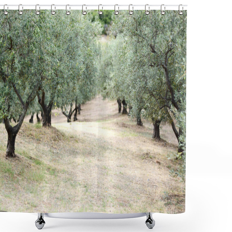 Personality  Olives Tree Field, Natural Mediterranean Landscape Shower Curtains