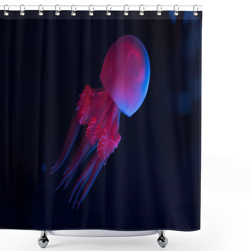 Personality  Jellyfish In Pink And Blue Neon Lights On Dark Background Shower Curtains