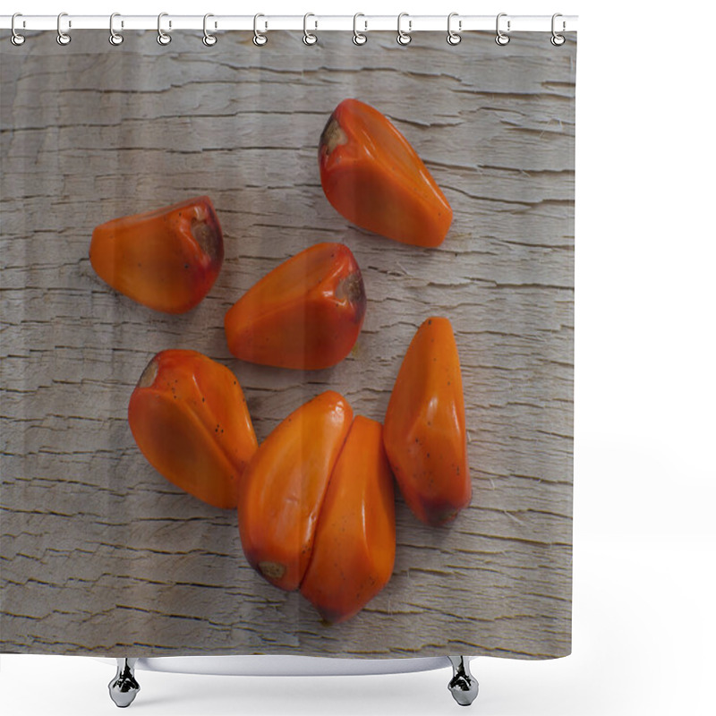 Personality  Coontie Cycad Fern (Zamia Pumila) Orange Red Seeds On Cracked Wood Background. Host Plant For The Atala Butterfly (Eumaeus Atala) Shower Curtains